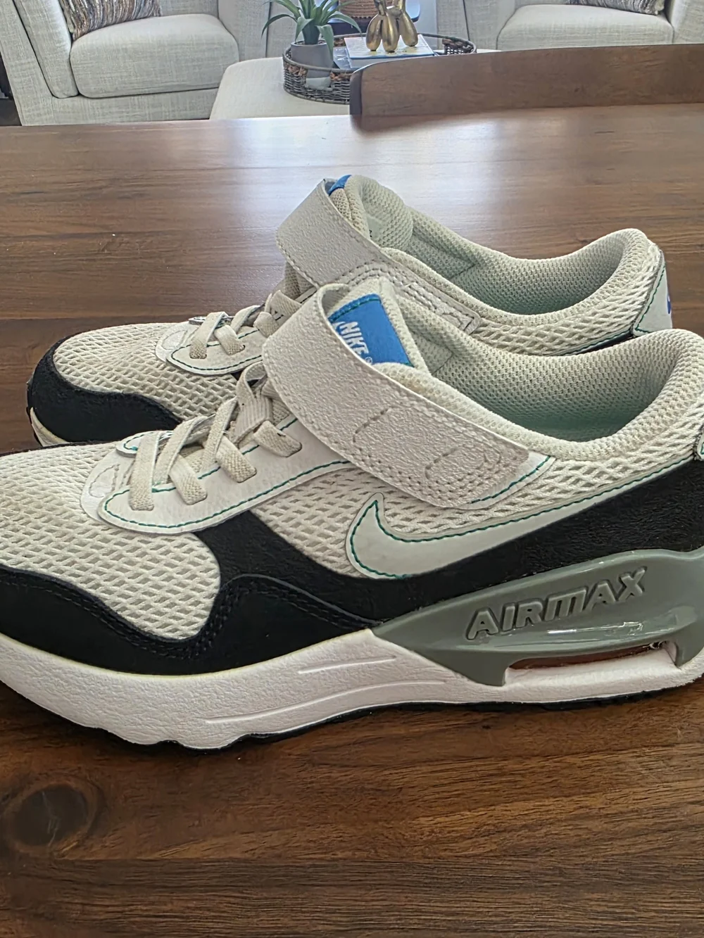 Youth Nike Airmax Sneakers